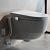 Laufen CLEANET SIT with side connections