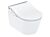 toto washlet rw auto flush